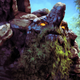 Image for article titled 93 Hours In, I'm Still Not Sure If Dota 2 Is 'Fun'